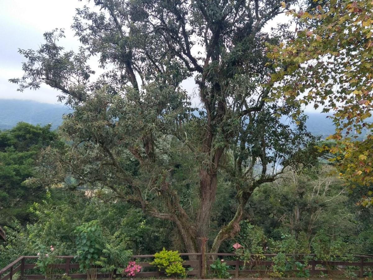 Pousada Estrela Da Serra Monte Verde  Exterior foto
